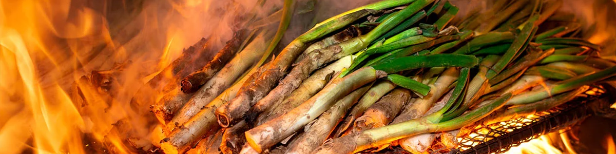 Ja son aqui! Comença la temporada de calçots!